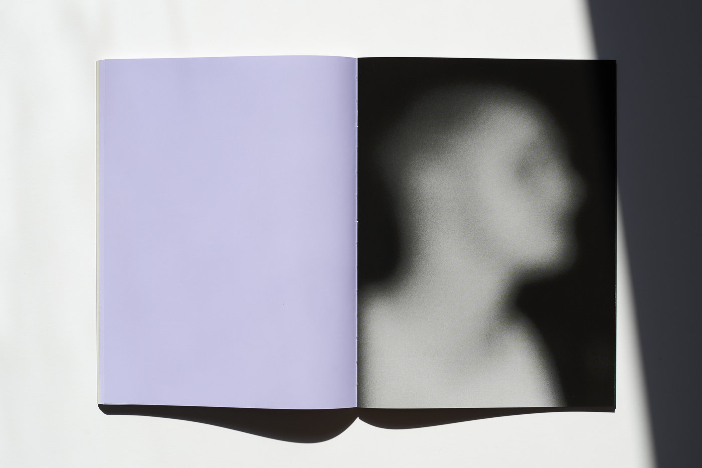 Schisksal book 25 1400 xxx q85